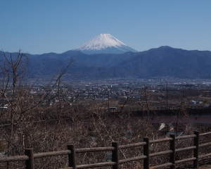 南アルプスからの富士山